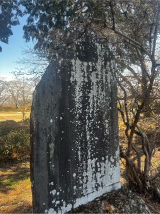 御前原城の登城記録(やさかさん)