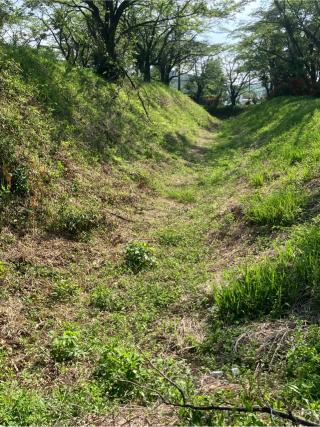 御前原城の登城記録(監督さん)