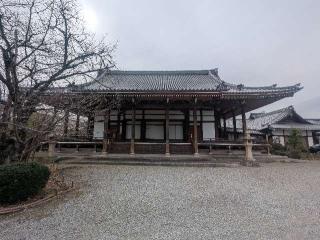 小浜城の登城記録(千　百万さん)