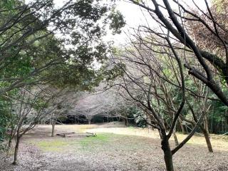 梅戸城の登城記録(くーさん)