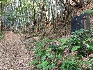 中上城の登城記録(くーさん)