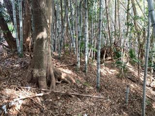 源治山城の登城記録(くーさん)