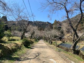 柏原城の登城記録(くーさん)