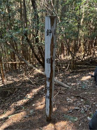針目城の登城記録(キャッスルさん)