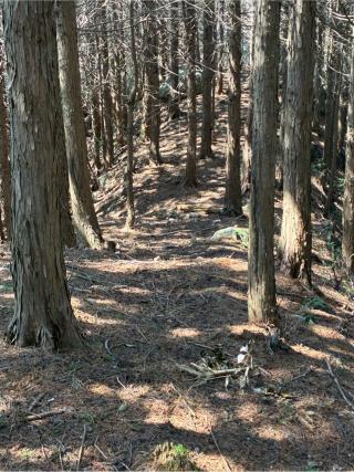 針目城の登城記録(キャッスルさん)
