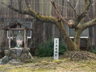 大野城の登城記録(くーさん)