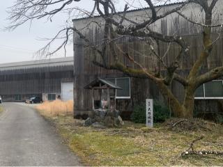 大野城の登城記録(くーさん)