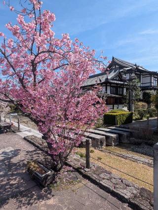今井環濠の登城記録(千　百万さん)