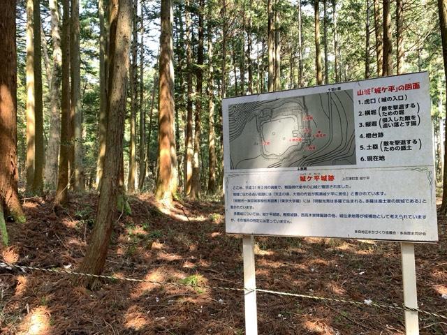 岐阜県大垣市上石津町三ツ里 城ケ平城の写真1