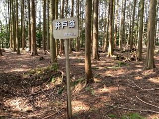 城ケ平城の登城記録(くーさん)