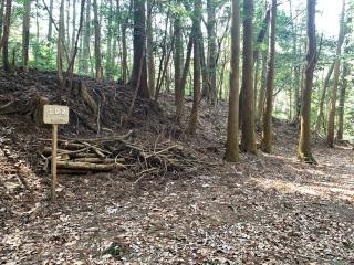 樫原城の登城記録(くーさん)