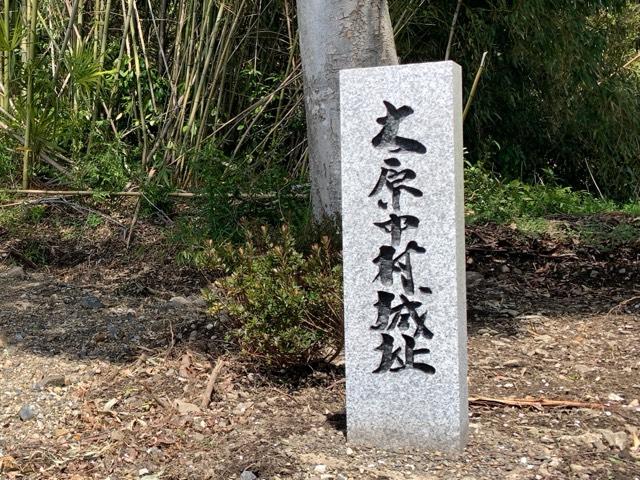 大原中村城の写真1