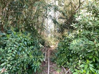 大原中村城の登城記録(くーさん)