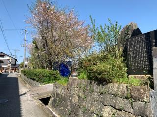 吉田城の登城記録(くーさん)