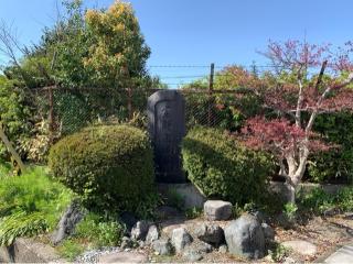 高野瀬城の登城記録(くーさん)