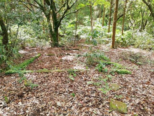 福岡県久留米市山川町５８８ 古宝殿城の写真4