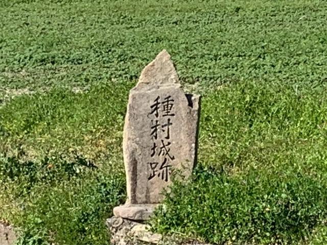 滋賀県東近江市種町934 種村城の写真1