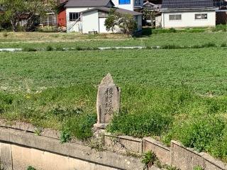 種村城の登城記録(くーさん)