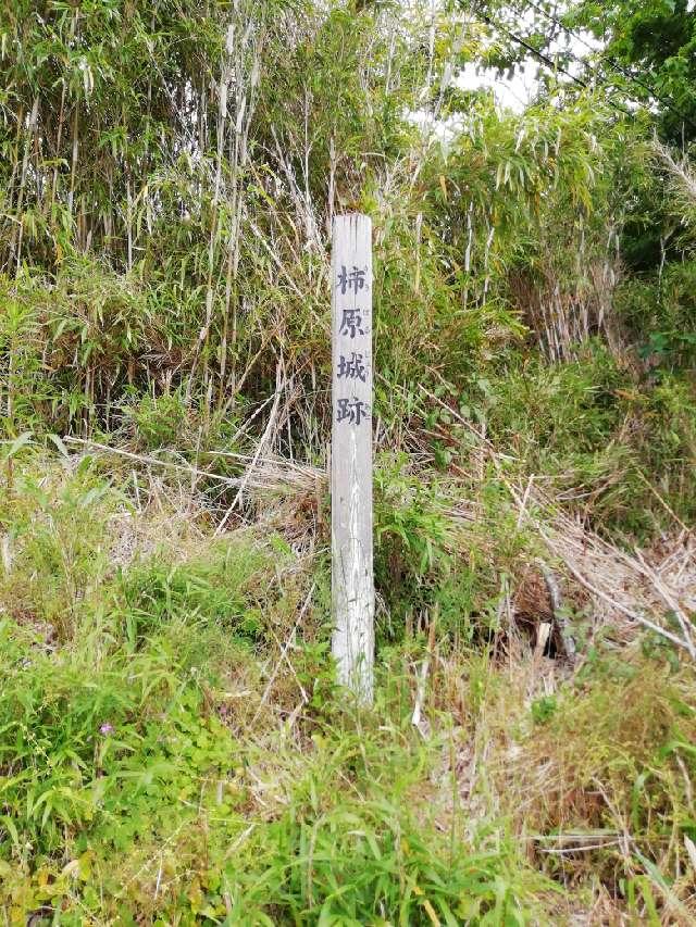 柿原城の登城記録(ノリさん)