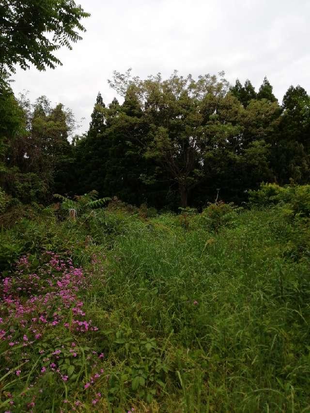 熊本県熊本市西区花園７丁目５６ 柿原城の写真3