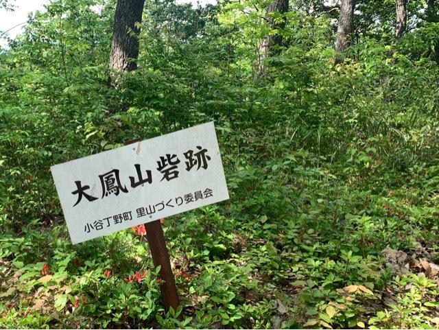 大鳳山砦の写真1