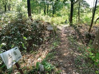 大鳳山砦の登城記録(くーさん)
