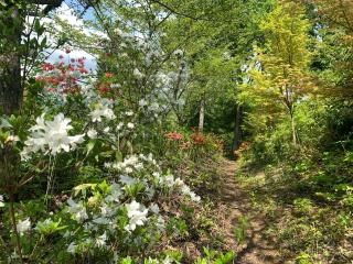 大鳳山砦の登城記録(くーさん)