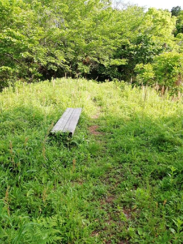 熊本県熊本市南区富合町木原 木原小城の写真5
