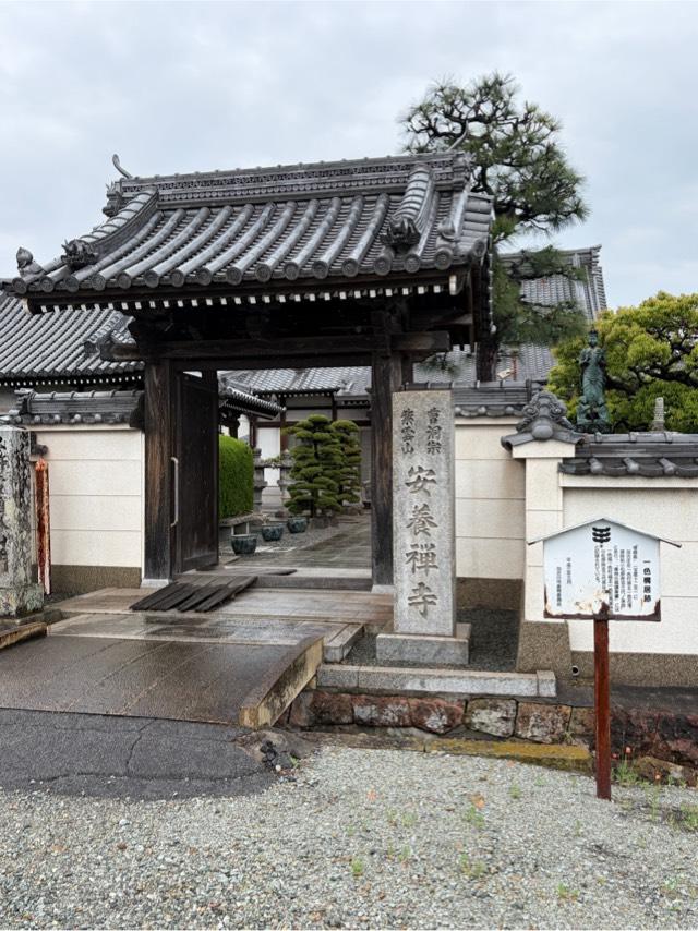 一色構居の写真1