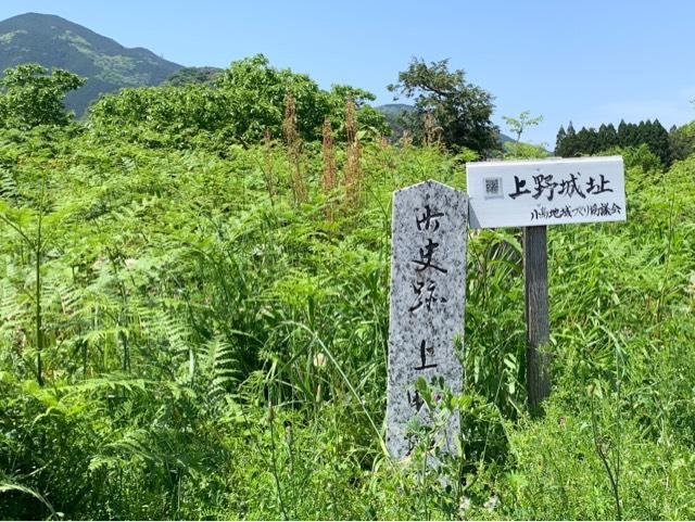 岐阜県揖斐郡揖斐川町上野 上野城の写真1