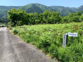 上野城の登城記録(くーさん)