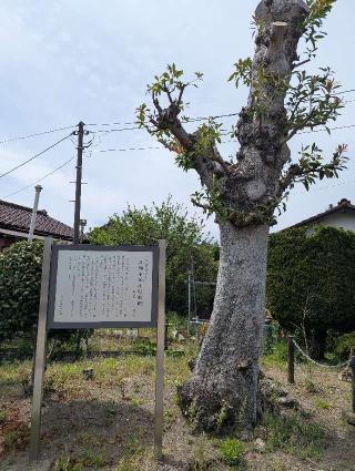 貝渕陣屋の登城記録(たくあんさん)