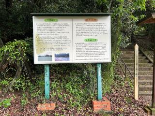 玉岡城の登城記録(テッチンさん)