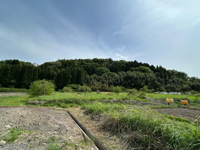 鷲ケ城の写真1