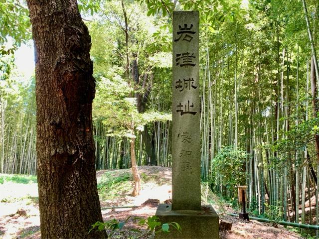 愛知県岡崎市岩津町東山 岩津城の写真1