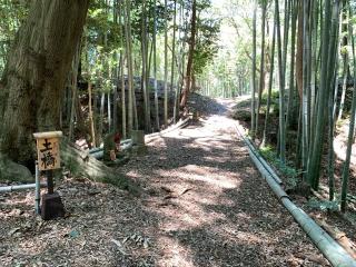 岩津城の登城記録(くーさん)