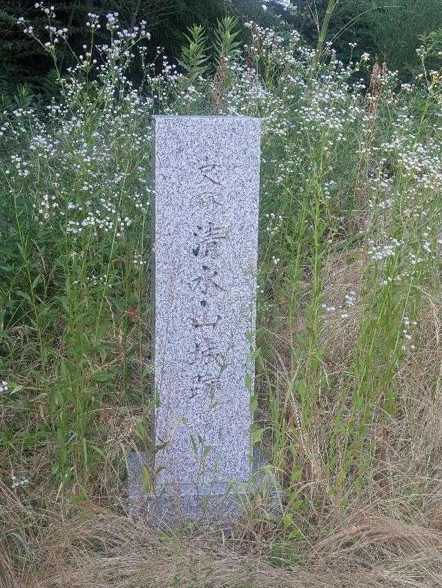 清水山城の写真1