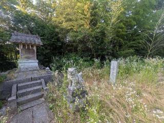 清水山城の登城記録(千　百万さん)