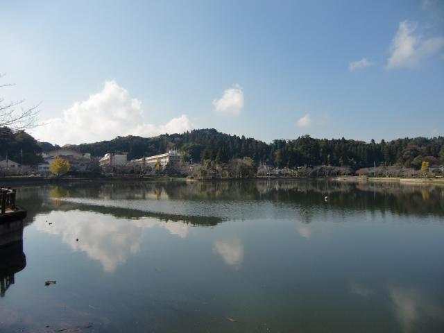 千葉県東金市市東金１４１０−１ 東金城の写真1