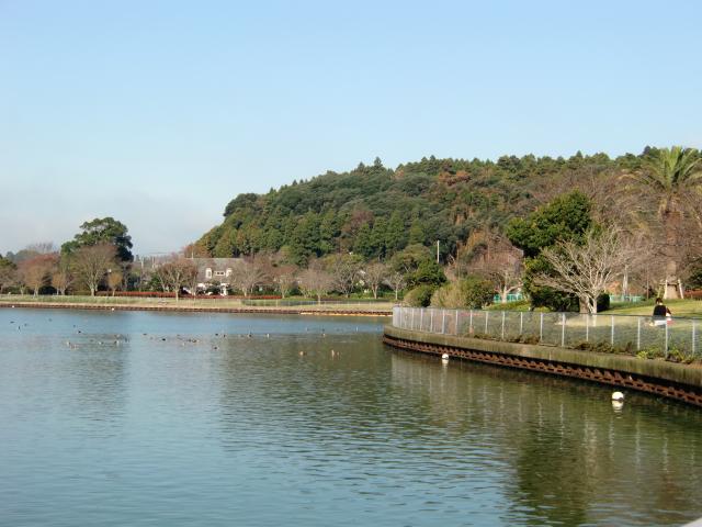 千葉県山武郡横芝光町坂田 坂田城の写真1