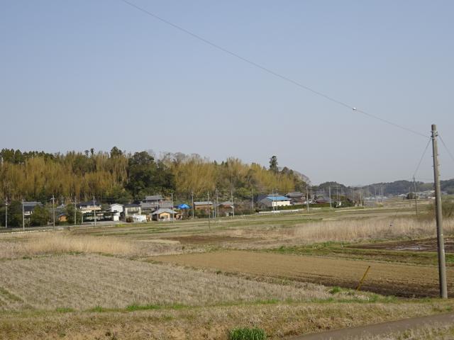 千葉県山武郡芝山町飯櫃１４５ 飯櫃城の写真1