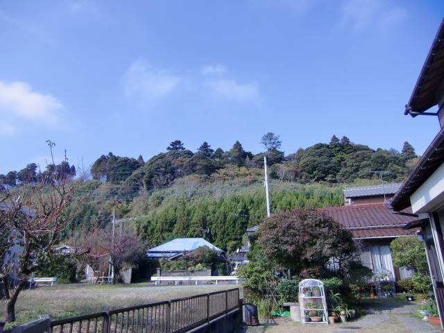 千葉県山武市成東２６５２ 成東城の写真1