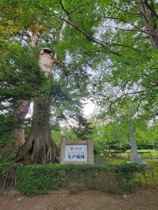 七戸城の登城記録(ケムパパさん)