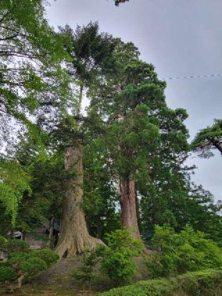七戸城の登城記録(ケムパパさん)