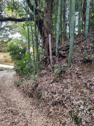 能満城の登城記録(マリリさん)