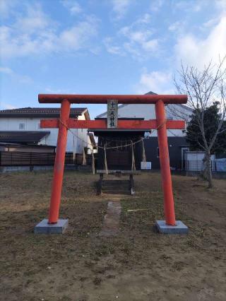 大厩館の登城記録(マリリさん)