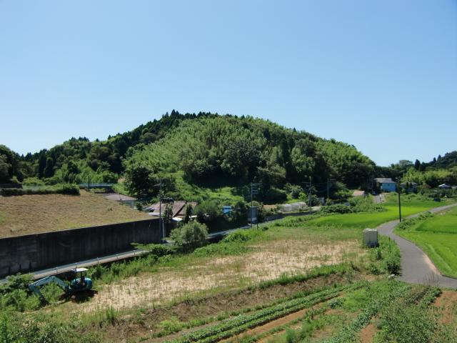 千葉県千葉市緑区大椎町８５１ 大椎城の写真1