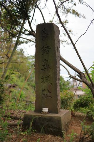 亥鼻城（猪鼻城、千葉城）の登城記録(こにーさん)