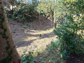 生実城の登城記録(りょうさん)