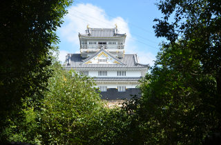 岐阜城の登城記録(まきゆきさん)